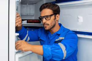 Ремонт холодильників Electrolux