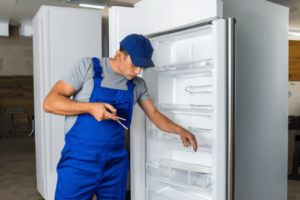 Ремонт холодильників Gorenje
